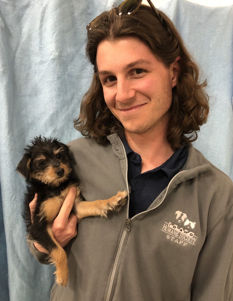 IHS to reunite stolen dog recovered during DUI arrest