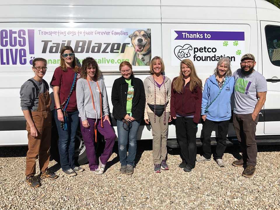 “Dog transport vehicle” brings 41 Texas dogs to Idaho shelters