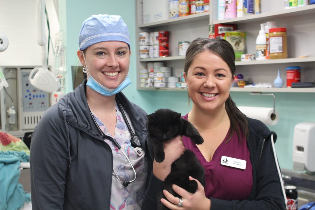 Idaho Gives: Animals