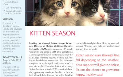 Check out our Summer edition of Paw Prints!