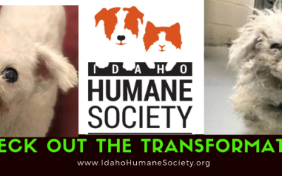 You gave Albus an amazing transformation!