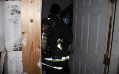 Papillion seizure enlarged photos