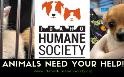 Only 1 day left for 2019 tax-deductible contributions!