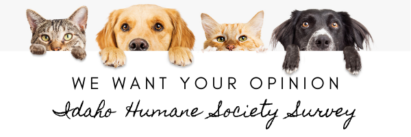 City Ordinance Survey Launching Monday at the Idaho Humane Society