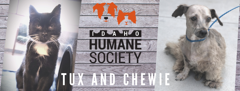 Get to know Tux and Chewie