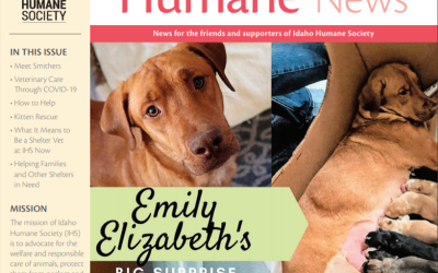 Check out our Summer 2020 edition of Paw Prints!