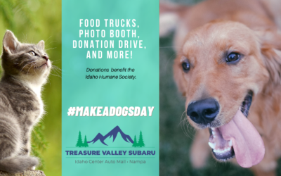Make a Dog’s Day with Treasure Valley Subaru