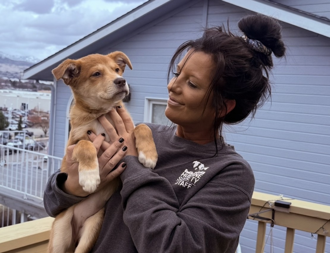 Idaho Humane Society