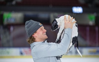 IHS Night at the Idaho Steelheads