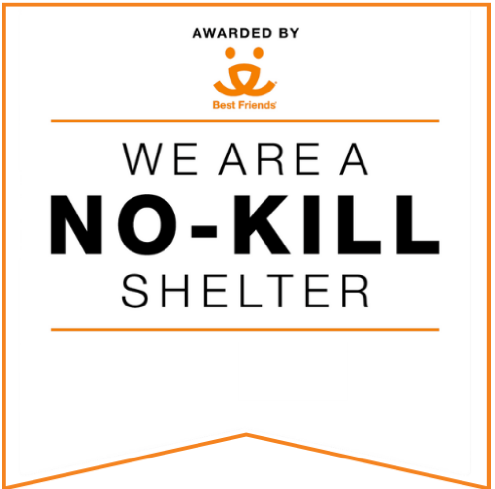 We are a no-kill shelter 2023