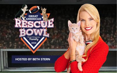 2026 Great American Rescue Bowl