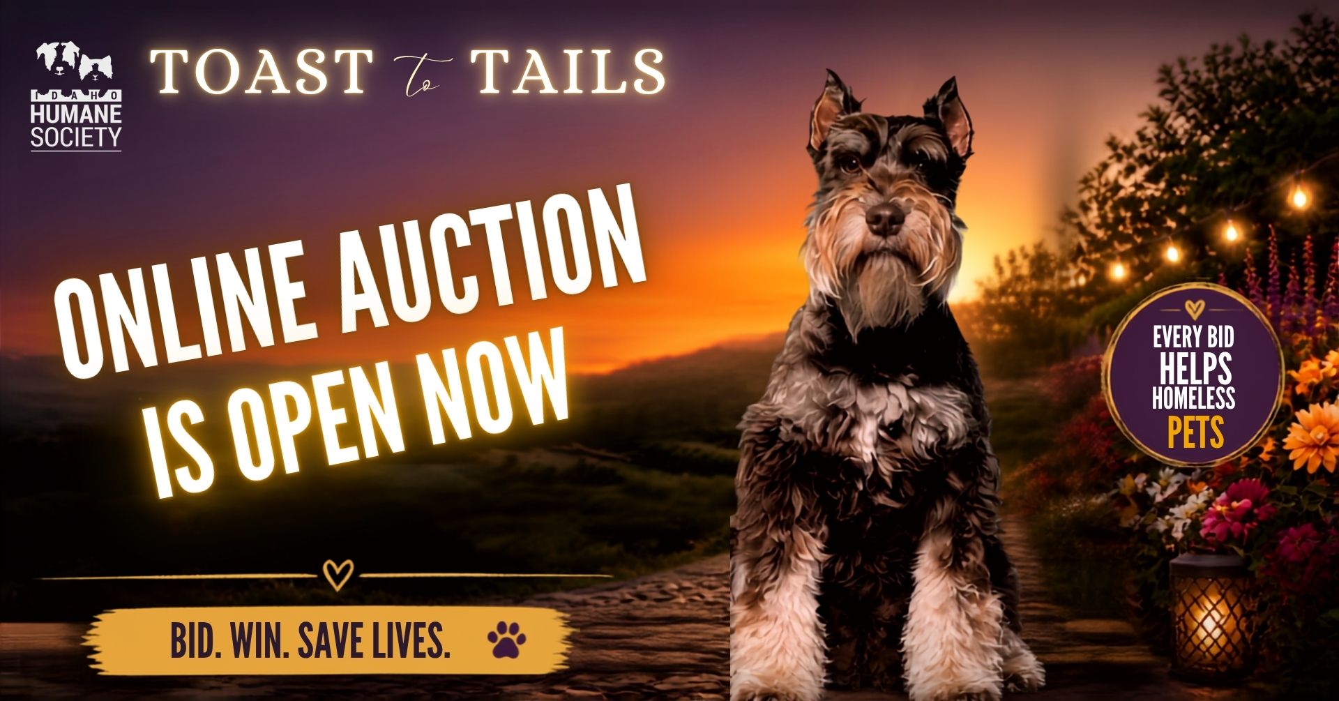 Online Auction TTT